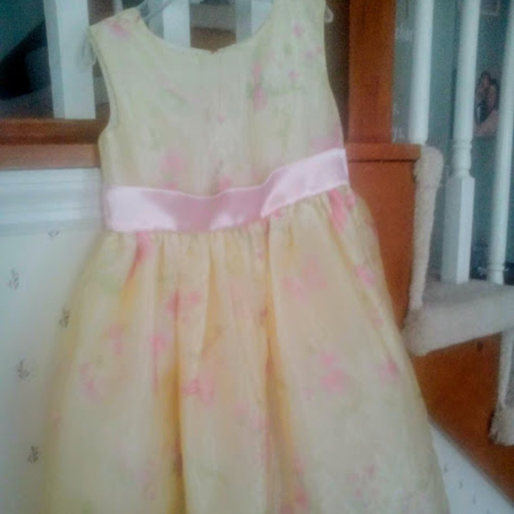Perfectly Dressed Chiffon Girls Party Dress sz4T, CAN BE $11. w/$4.99 shipping!